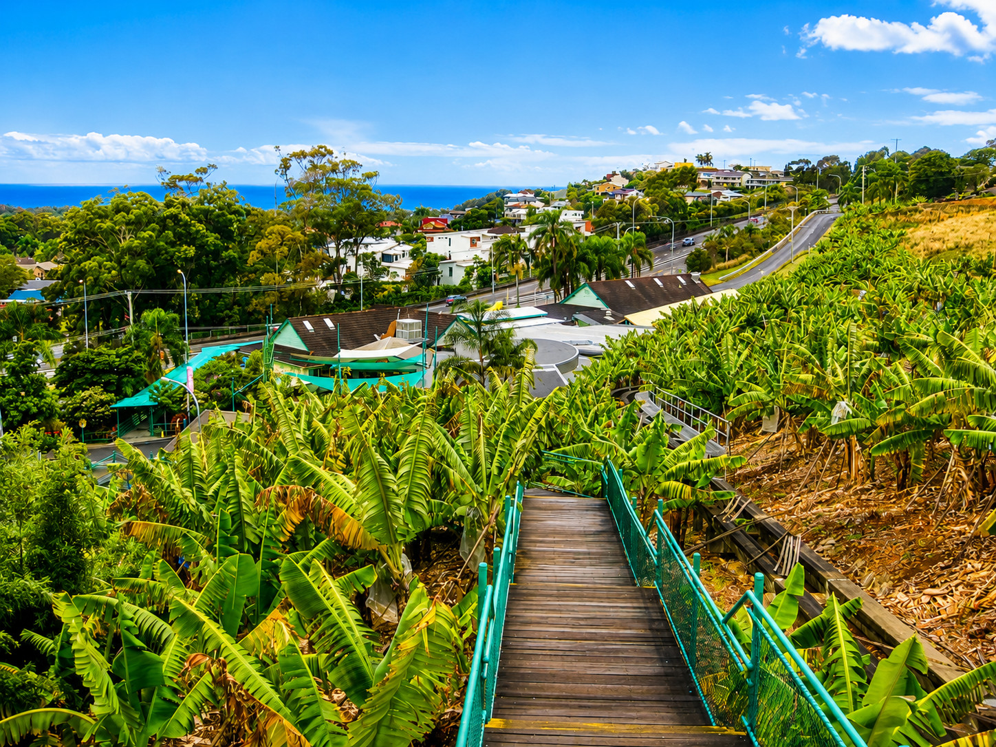 Coffs Harbour Image 4