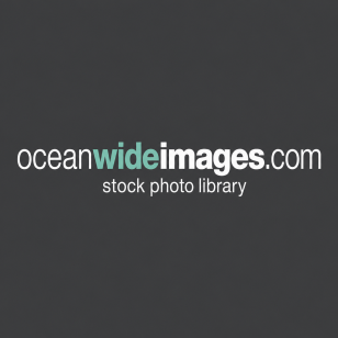 Oceanwide Images Logo